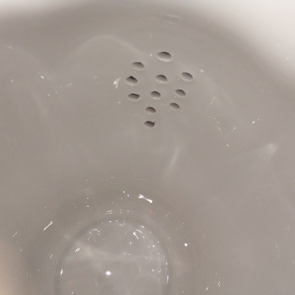 Johann Haviland Vintage Bavaria Germany Sepia Rose Dual Function Coffee/Tea Pot - Picture 11 of 15